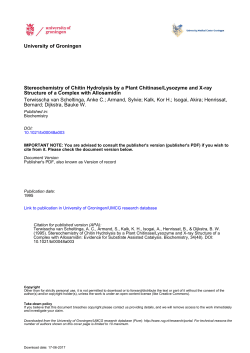 University of Groningen Stereochemistry of Chitin Hydrolysis