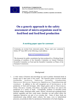 Working document on a generic approach to the safety assessment