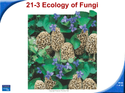 21-3 Ecology of Fungi