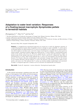 Adaptation to water level variation: Responses of a floating