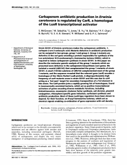 Carbapenem antibiotic production in &euro;rwinia