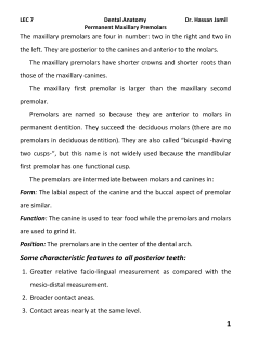 Some characteristic features to all posterior teeth: