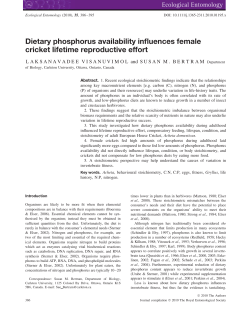 Dietary phosphorus availability influences female cricket lifetime