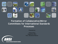 Formation of Collaborative/Mirror Committees for International