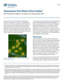 Homeowner Fact Sheet - Indian River County Extension Office