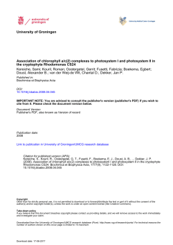 Association of chlorophyll a/c(2) complexes to photosystem I