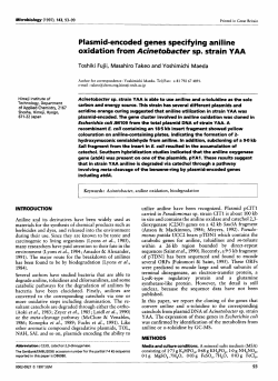 Plasmid-encoded genes specifying aniline oxidation