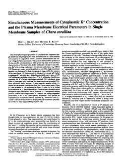 Simultaneous Measurements of Cytoplasmic K+