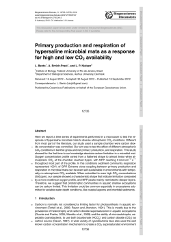 Printer-friendly Version