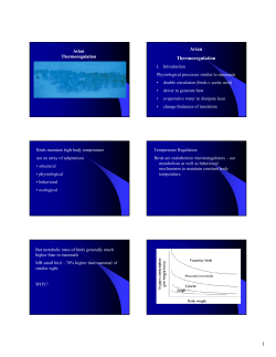 Avian Thermoregulation - Weber State University