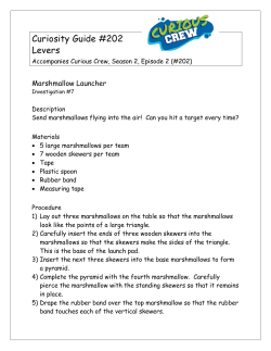 Curiosity Guide #202 Levers