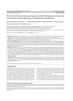 The Time of Prenatal Androgen Exposure Affects Development of