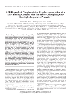 ADP-Dependent Phosphorylation Regulates