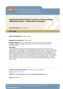 Addressing Market Power Concerns in the Electricity