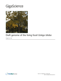 Draft genome of the living fossil Ginkgo biloba