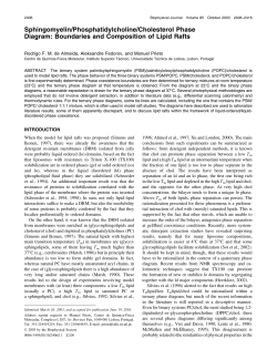 Sphingomyelin/Phosphatidylcholine/Cholesterol Phase Diagram