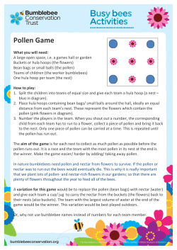 Start typing here - Bumblebee Conservation Trust