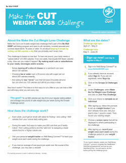 overview/FAQ flyer