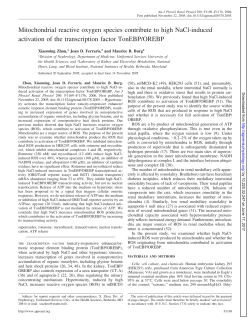 Mitochondrial reactive oxygen species contribute to high NaCl