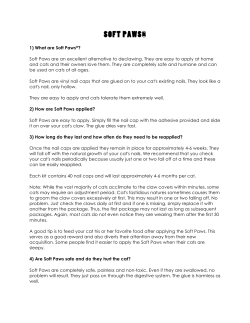 SOFT PAWS - ProSites