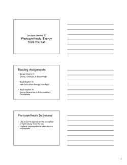Photosynthesis: Energy from the Sun Reading Assignments