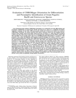 Evaluation of CHROMagar Orientation for Differentiation and