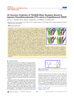 3D Structure Prediction of TAS2R38 Bitter