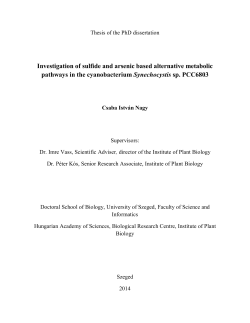 Investigation of sulfide and arsenic based alternative metabolic
