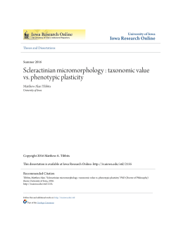 Scleractinian micromorphology : taxonomic value vs. phenotypic
