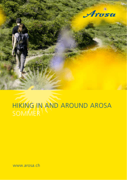 Hiking in and around arosa sommer
