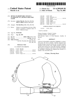 Device to removably attach a flashlight to a retractable dog leash