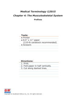Chapter 4 Prefixes E-Flash Cards