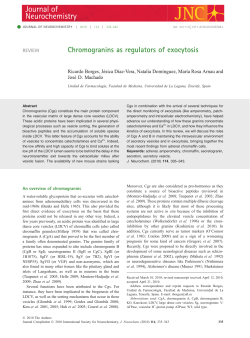 Chromogranins as regulators of exocytosis