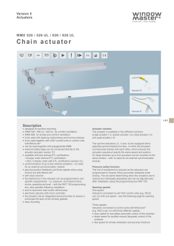 Chain actuator