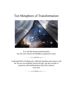 Ten Metaphors of Transformation