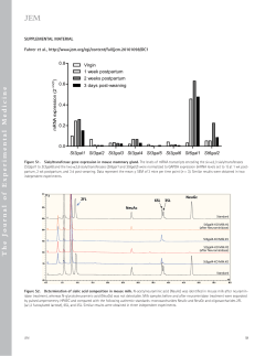 Supplemental material