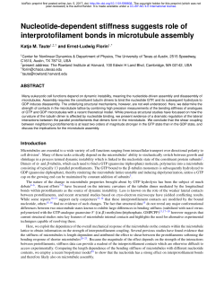 Nucleotide-dependent stiffness suggests role of