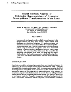 Neural Network Analysis of Distributed Representations of
