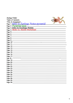 Intro to Zoology Notes  pyramid