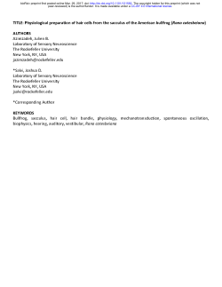 TITLE: Physiological preparation of hair cells from the