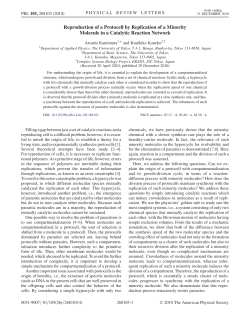 Reproduction of a Protocell by Replication of a Minority Molecule in
