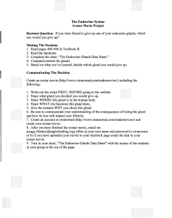 The Endocrine System (Avatar Movie Project