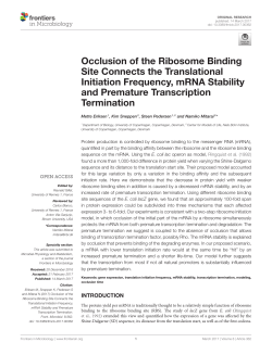 Occlusion of the Ribosome Binding Site Connects the Translational