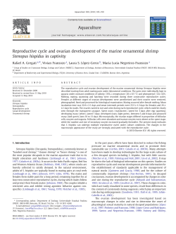 Reproductive cycle and ovarian development of the marine