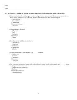 Exam Name___________________________________