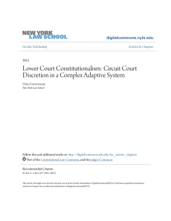 Circuit Court Discretion in a Complex Adaptive System