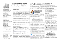 Bulletin dated 24 January 2016