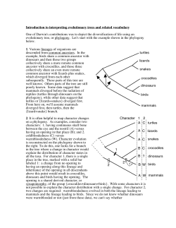 Introduction to interpreting evolutionary trees and related vocabulary