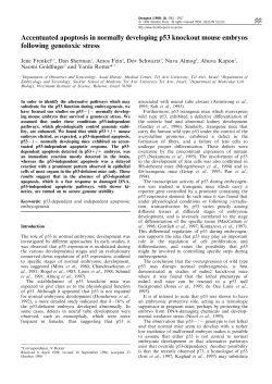 Accentuated apoptosis in normally developing p53