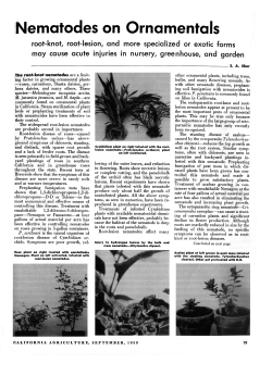 Nematodes on Ornamentals root-knot, root